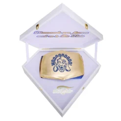 Hogan's Beach Shop BELTS Ric Flair Signature Series Belt W/ Robe