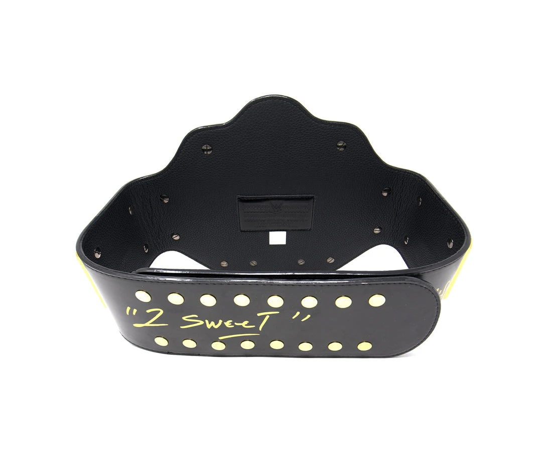 Hogan's Beach Shop Hollywood Hogan Signed WCW NWO Championship Title Belt Replica 3 Hogan's Beach Shop Hollywood Hogan Signed WCW NWO Championship Title Belt Replica