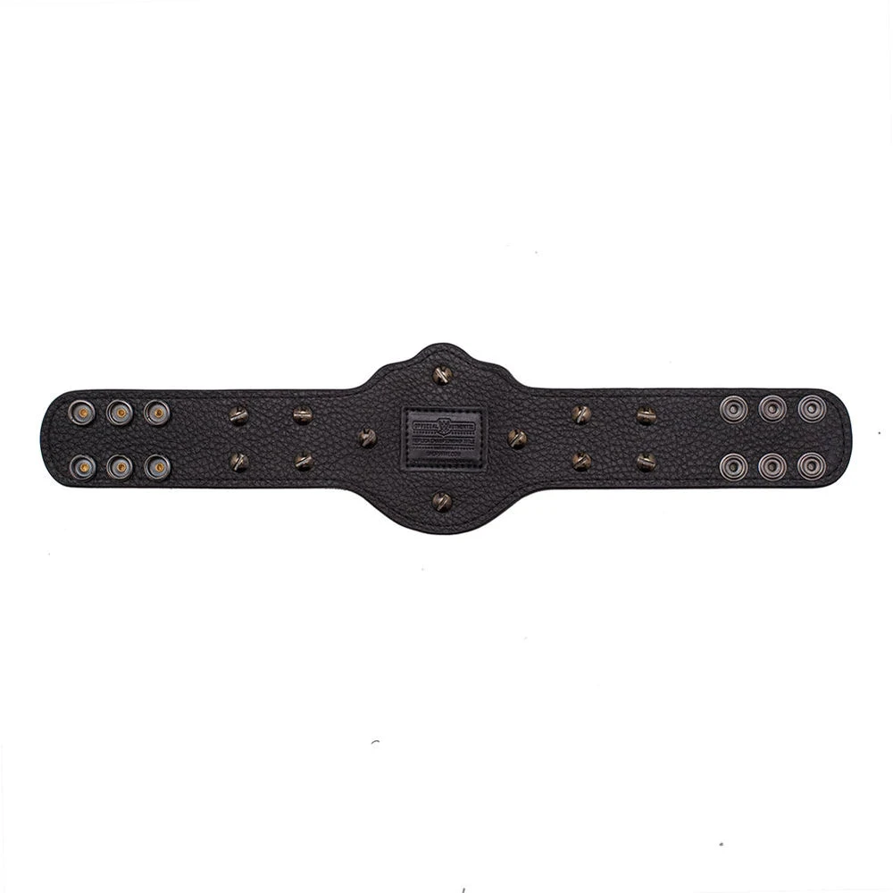 Hogan's Beach Shop WCW Heavyweight Championship Mini Replica Title Belt 2 Hogan's Beach Shop WCW Heavyweight Championship Mini Replica Title Belt