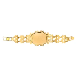 Hogan's Beach Shop WWE Million Dollar Championship Mini Replica Title