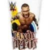 Hogan's Beach Shop Randy Orton WWE Pint Glass