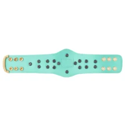 Hogan's Beach Shop WWE Blue Winged Eagle Championship Mini Replica Title Belt