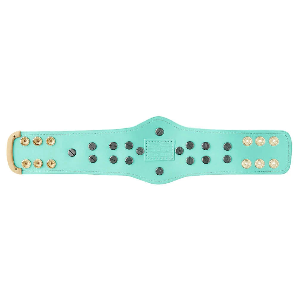 Hogan's Beach Shop WWE Blue Winged Eagle Championship Mini Replica Title Belt 2 Hogan's Beach Shop WWE Blue Winged Eagle Championship Mini Replica Title Belt