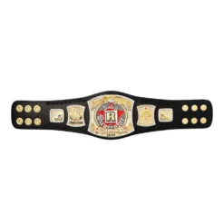 Hogan's Beach Shop MINI BELTS WWE Edge Spinner Championship Mini Replica Title Belt