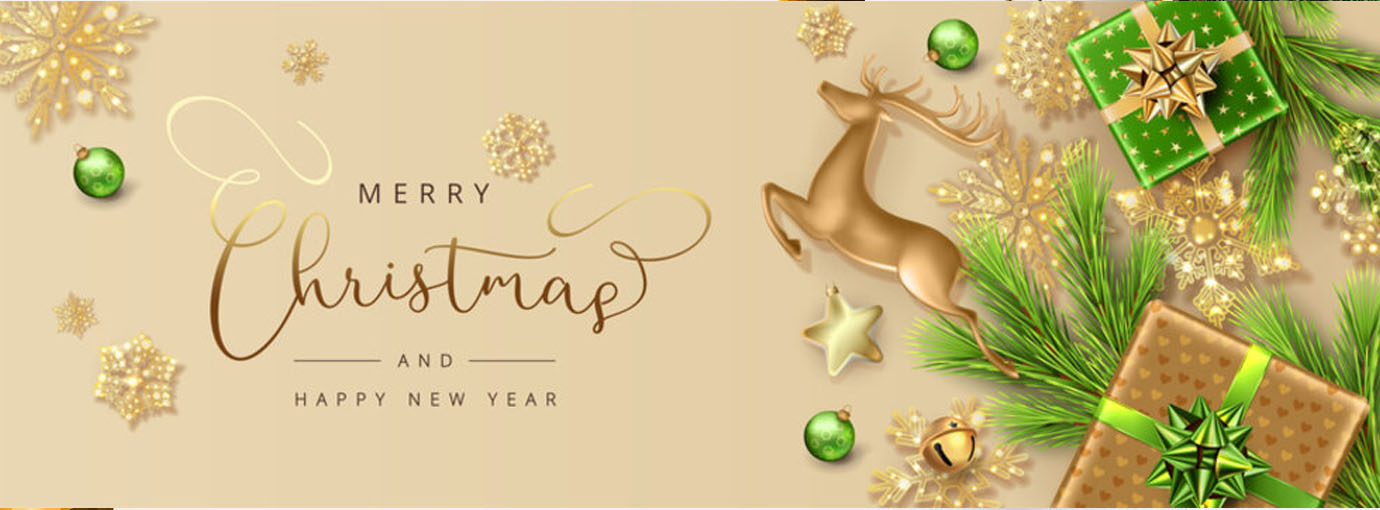 Hogan's Beach Shop Sales -Hogan's Beach Shop Sales 131